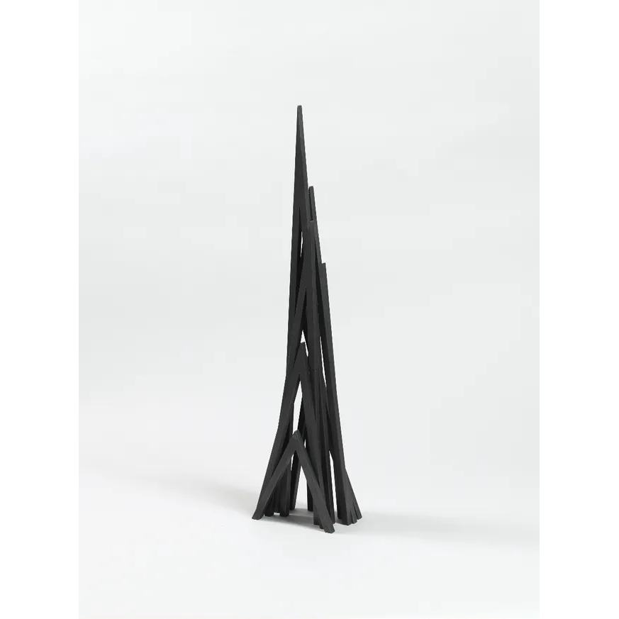 Venet Bernar 8 Acute Unequal Angles 2015 01